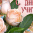 Уважаемые учителя! Поздравляем вас с Днем учителя! - Администрация г. Коммунар